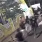 Tawuran Maut di Cilincing, Pemuda Tewas dengan Tangan Putus