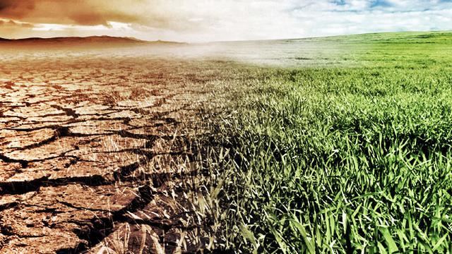 Ilustrasi Liputan Khusus El Nino