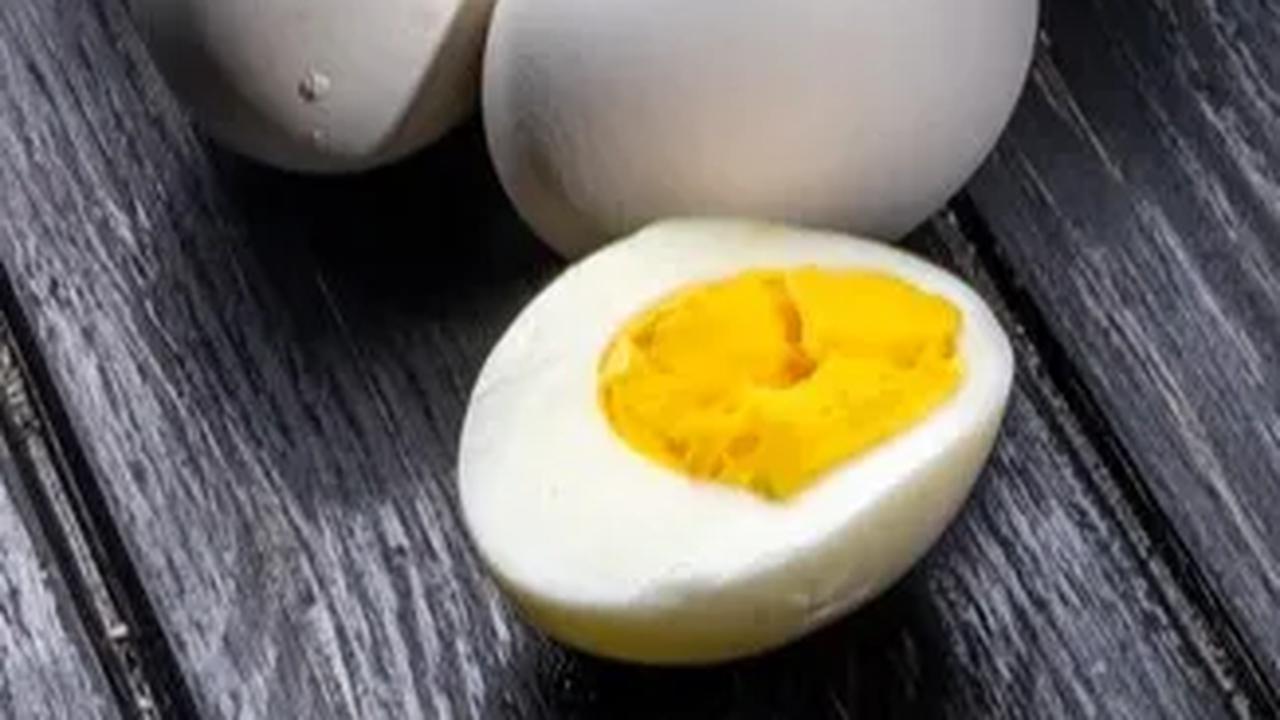 Telur