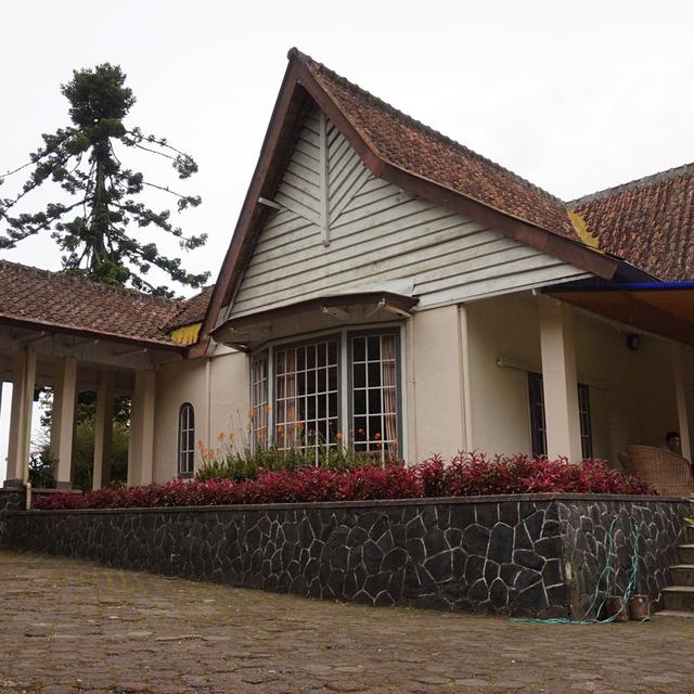 Jejak Mulia Dan Kisah Mistis Bosscha Sang Raja Teh Priangan