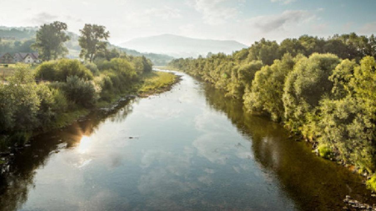 Ilustrasi sungai (iStock)