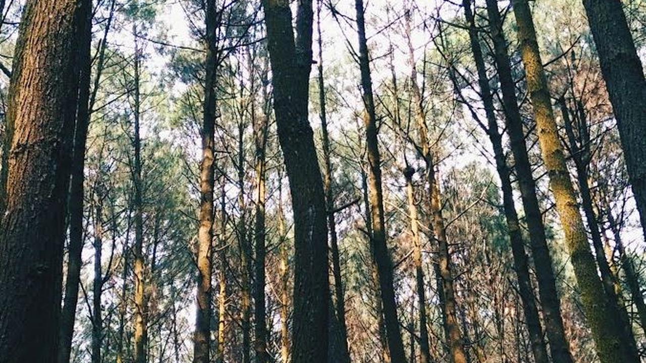 16 Tempat Wisata di Sentul yang Populer dan Wajib Dikunjungi, Beri Pengalaman Berkesan