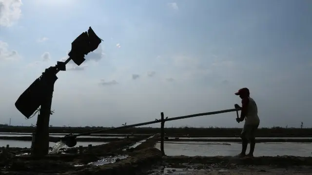 Curhat Petambak Garam Gagal Panen Hingga Minim Bantuan Pemerintah