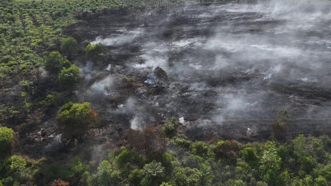 Manggala Agni Temukan Karhutla 7 Hektare di Rokan Hilir, Riau: Upaya Pemadaman Terus Dilakukan