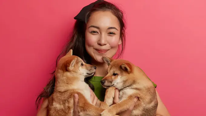 Ilustrasi pecinta anjing/freepik.com/wayhomestudio