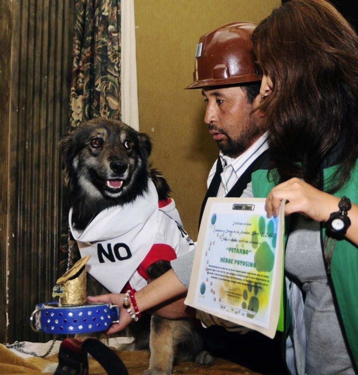Anjing ini jadi simbol penolakan rakyat Bolivia atas Evo Morales