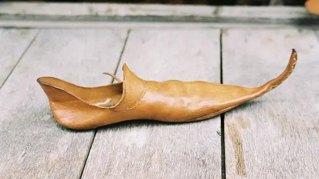 Poulaine atau Sinful Shoes