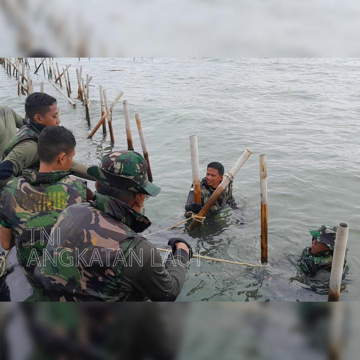 Perintah Kasal, Pasukan TNI AL Dibantu Nelayan Makin Getol Obrak Abrik Pagar Laut Misterius