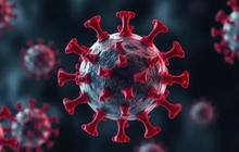 Mantan Direktur di WHO Asal Indonesia Beberkan 3 Fakta Penyebaran virus HMPV