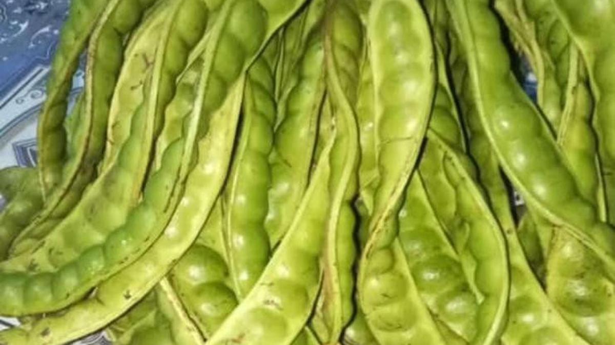 10 Manfaat Petai untuk Kesehatan, Biji Kecil Berkhasiat Besar