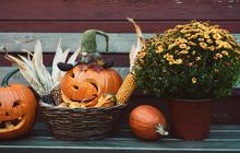 Halloween dan Kisah Labu, Tradisi, Sejarah, dan Fakta Menarik di Baliknya