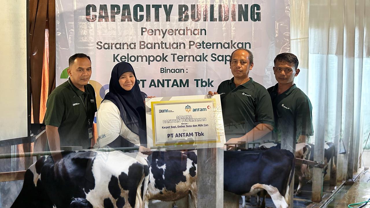 Sinergi PNM & ANTAM Dorong Peternak Sapi Lokal Tingkatkan Kualitas dan Produksi Susu Dalam Negeri