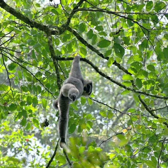 Pariwisata Bogor