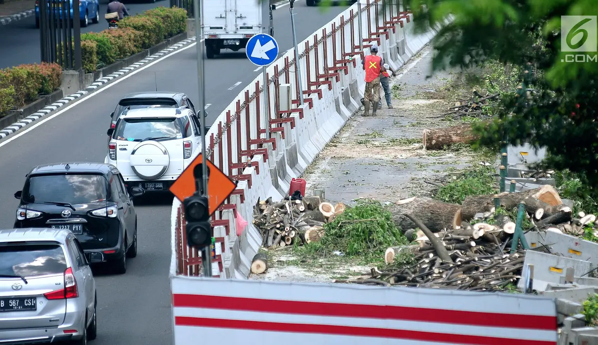 Pekerja menebang pohon untuk menyelesaikan proyek kereta api ringan atau Light Rail Transit (LRT) di kawasan Kuningan, Jakarta, Rabu (26/7). Penebangan dilakukan untuk pembangunan proyek LRT Cawang-Dukuh Atas sepanjang 10,5 km. (Liputan6.com/Helmi Afandi)