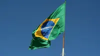 Ilustrasi bendera Brazil, negara tempat bayi dengan ekor dan "bola" dilahirkan. (Pixabay/gleidiconrodrigues)