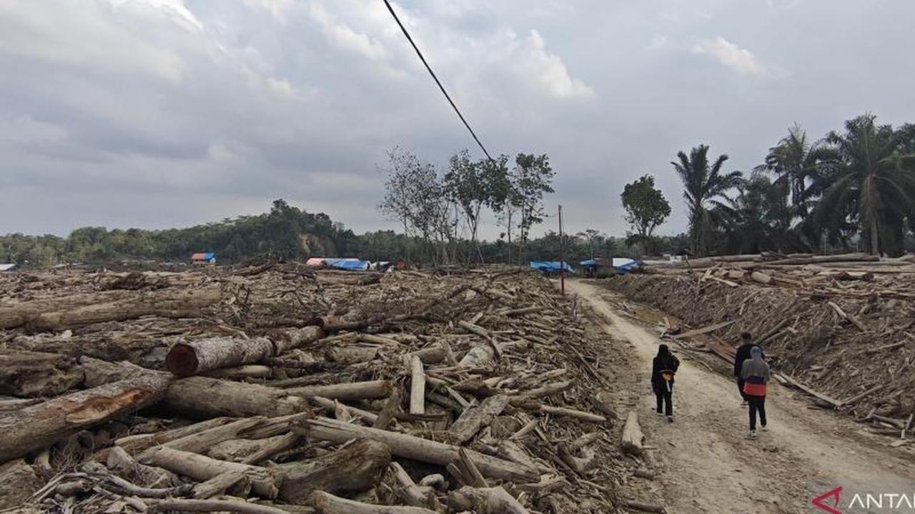 Penyintas Bencana Babo Aceh Tamiang Beralih Profesi Jadi Buruh Kayu Pasca-Banjir
