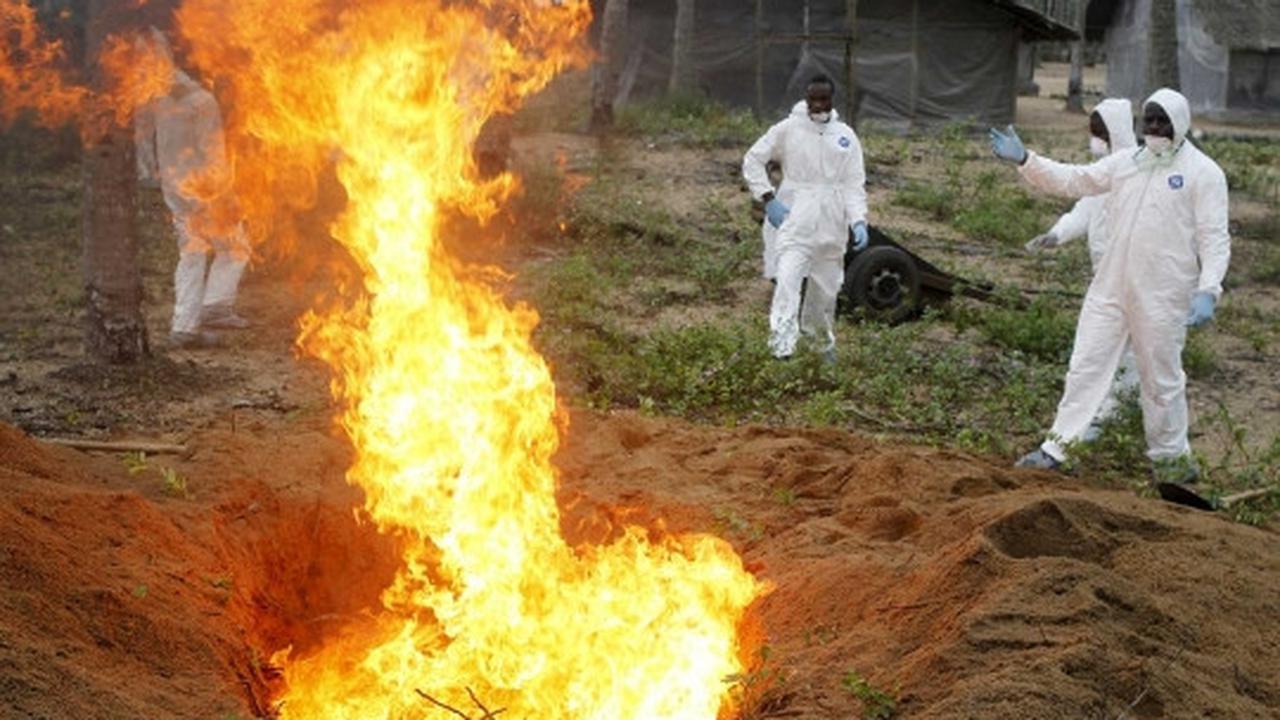 Wabah virus Flu Burung menyebar di Afrika