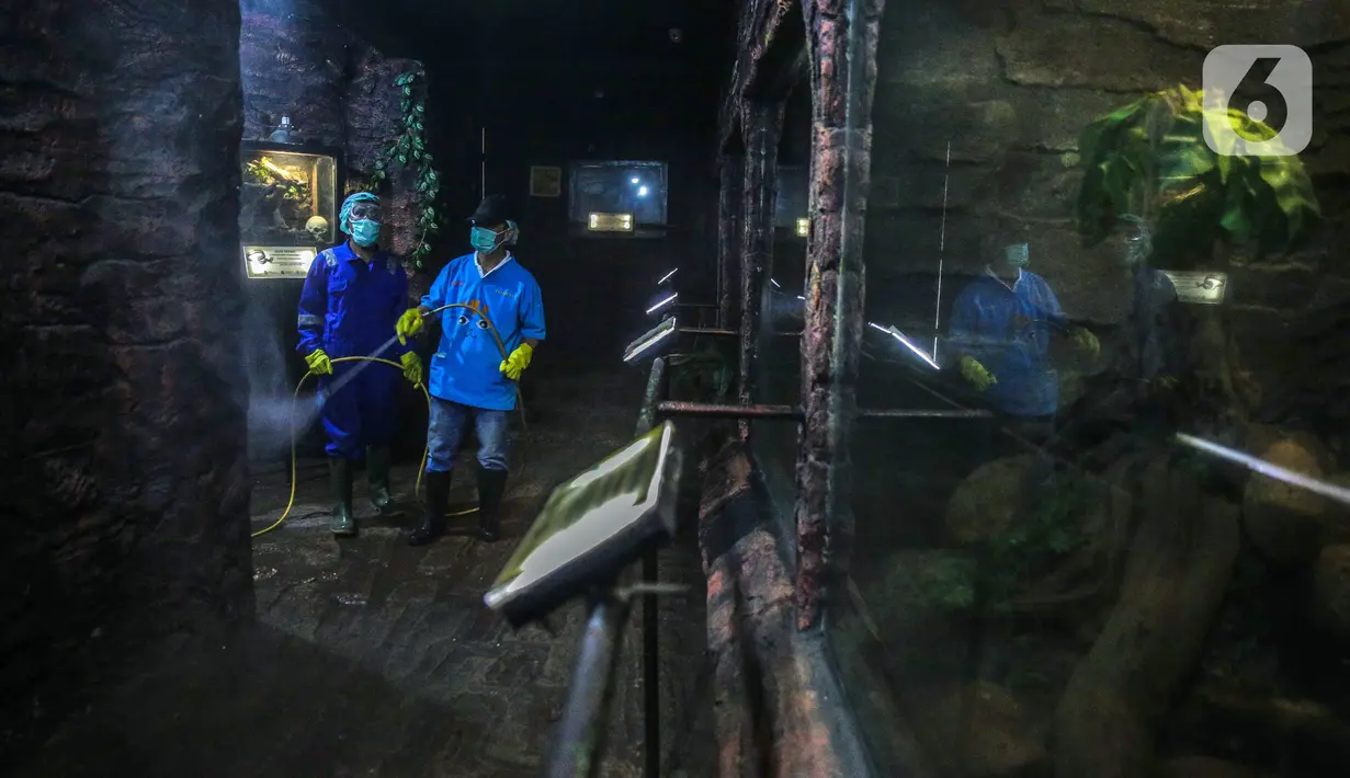 Petugas menyemprotkan cairan disinfektan di Taman Komodo TMII, Jakarta, Rabu (18/3/2020). Penyemprotan dilakukan untuk mengantisipasi penyebaran virus corona COVID-19. (Liputan6.com/Faizal Fanani)