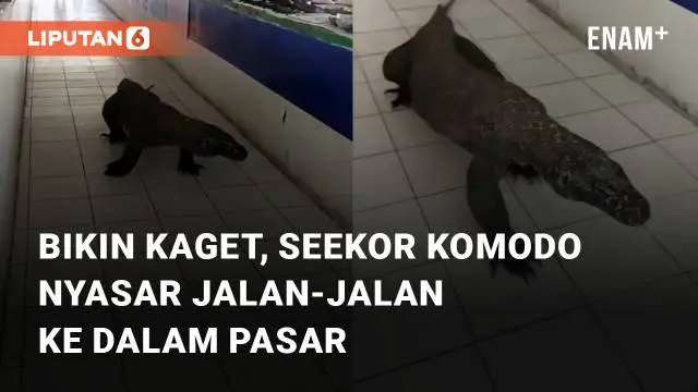 Seekor komodo masuk ke dalam sebuah pasar mengundang perhatian