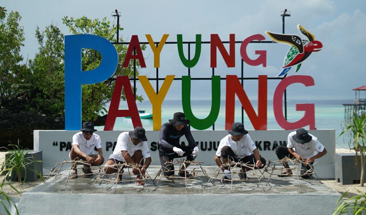 <b>Sebanyak 600 pcs fragmen karang ditanam di Pulau Maratua.</b>