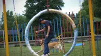 Tren di China, Anjing Bisa Masuk Taman Kanak-kanak