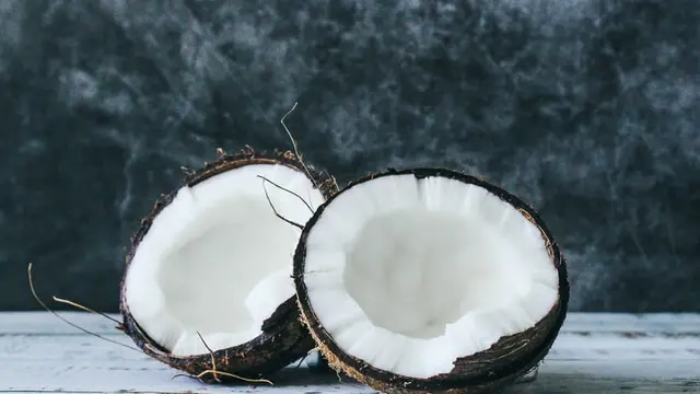 Ilustrasi kelapa