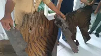 Mako SPORC Brigade Macan Tutul menangkap seorang warga Langkat yang memperjualbelikan kulit harimau sumatra. (Liputan6.com/ Reza Perdana)