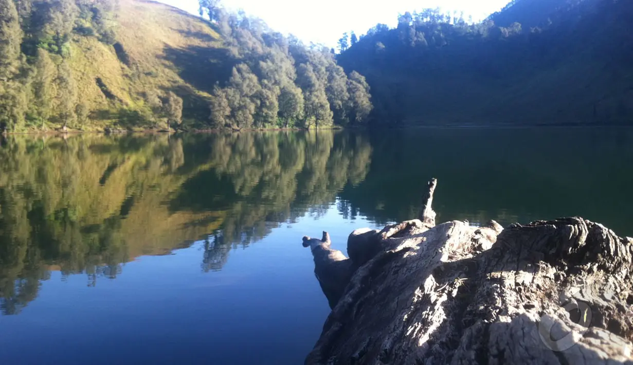 Eksotis Ranu Kumbolo yang menyimpan sejuta misteri. Konon, danau yang begitu elok dipandang mata ini adalah surganya Gunung Semeru (Liputan6.com/Andi Jatmiko).