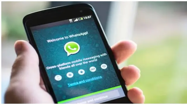 Foto : copyright oddee.com