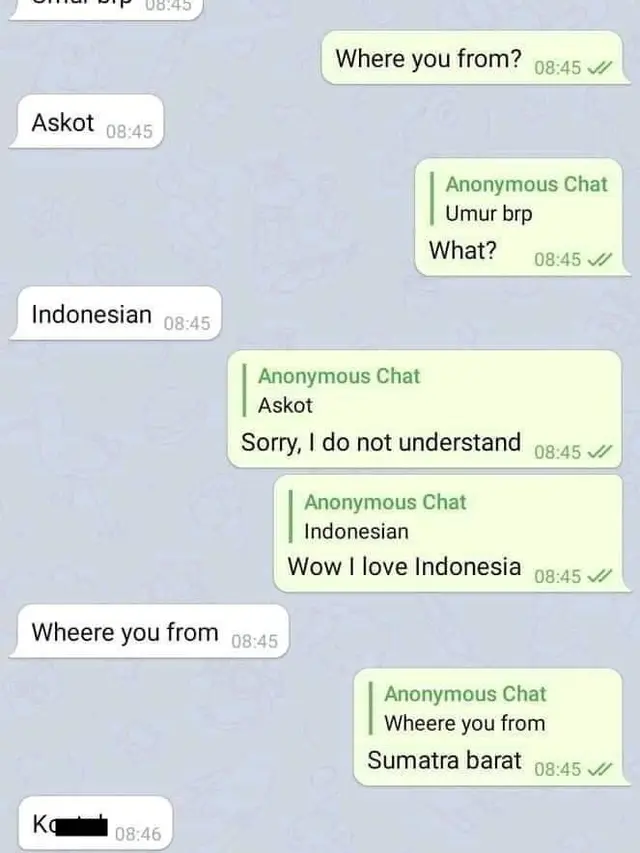 6 Chat Orang Ajak Kenalan Pakai Bahasa Inggris Ini Bikin Tepuk Jidat