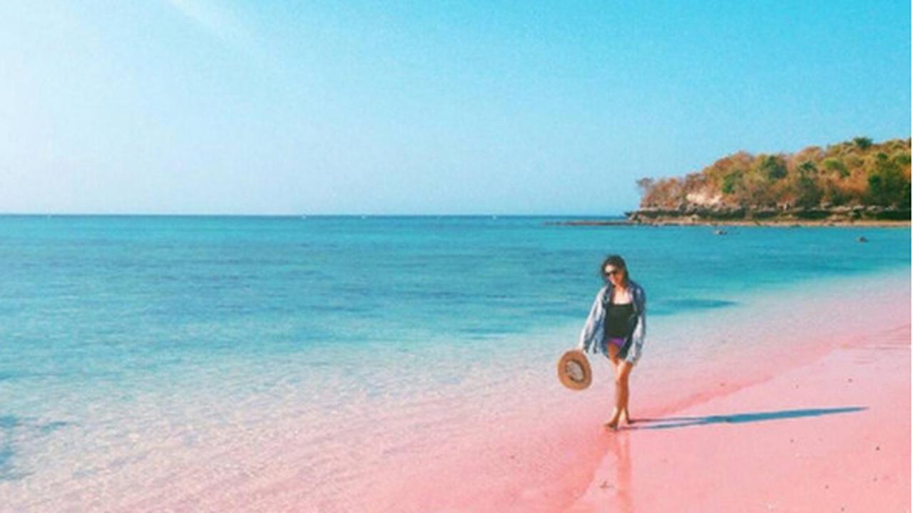 Jelajahi 5 Destinasi Wisata Ikonik di Lombok Timur, Surganya Lautan Eksotis dan Legendaris