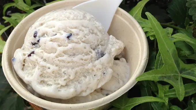 Copyright by shutterstock.com