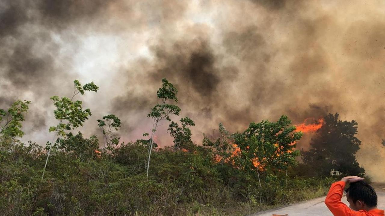 Keduanya telah membersihkan lahan itu dengan parang dan garu. Sisa semak ditumpuk dengan batang karet tua di tengah kebun lalu dibakar dengan obor bambu.