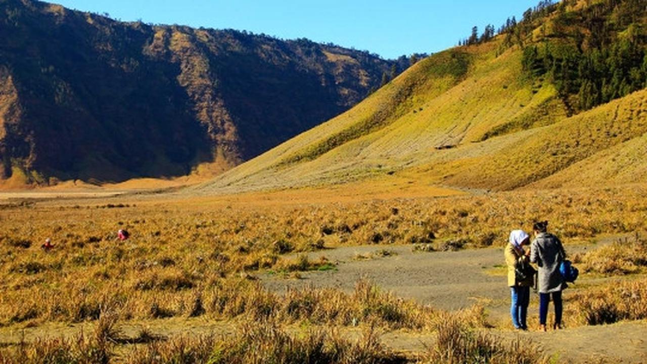 Memanjakan mata menikmati keindahan bukit 'Teletubbies' di Bromo
