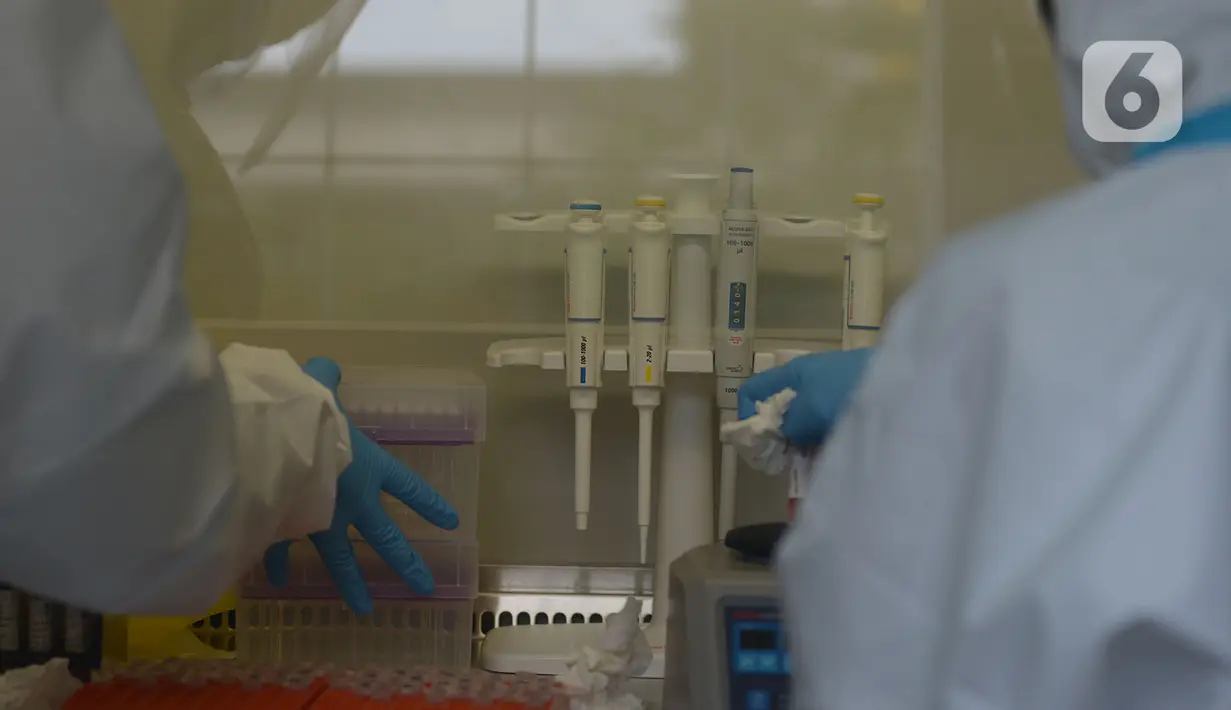 Tim  medis  melakukan pemeriksaan hasil PCR COVID-19 di  Laboratorium Container (lab Con) COVID-19 RSKD Duren Sawit, Jakarta, Kamis (18/6/2020). Dalam seminggu terakhir ada 18.105 orang di Jakarta dites PCR. (merdeka.com/Imam Buhori)