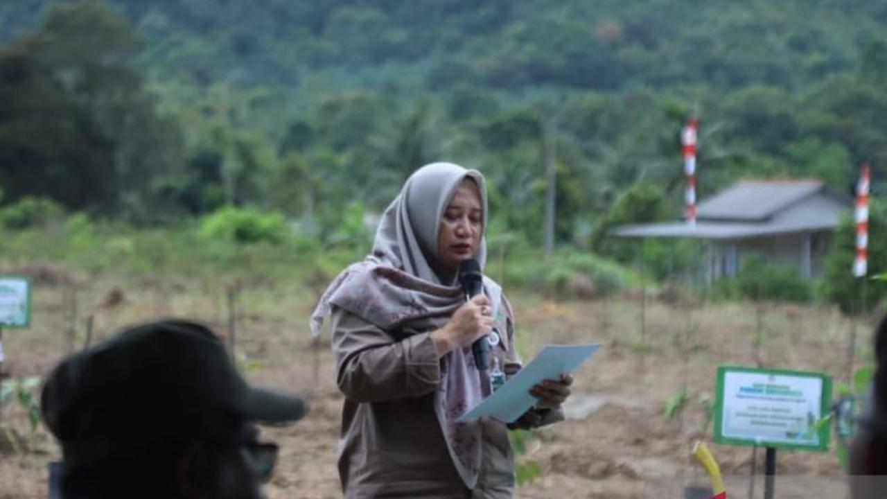 Kementerian Kehutanan Salurkan 16.000 Bibit Buah Babel, Pacu Restorasi Lahan Kritis