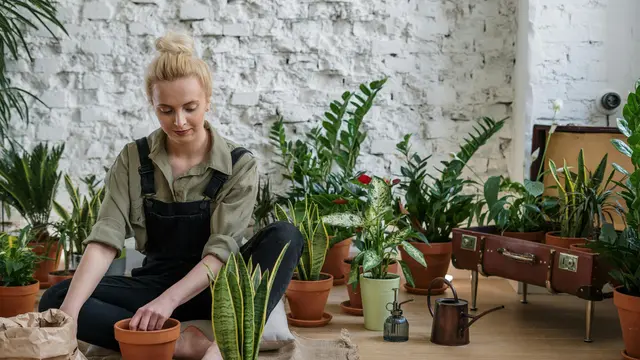 5 Langkah Hidup Lebih Positif dengan Digital Detox