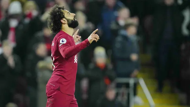 Foto: Cody Gakpo Cetak Gol Perdana, Liverpool Hajar Everton di Liga Inggris