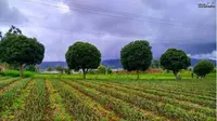 4 Tempat Wisata Keluarga di Manado