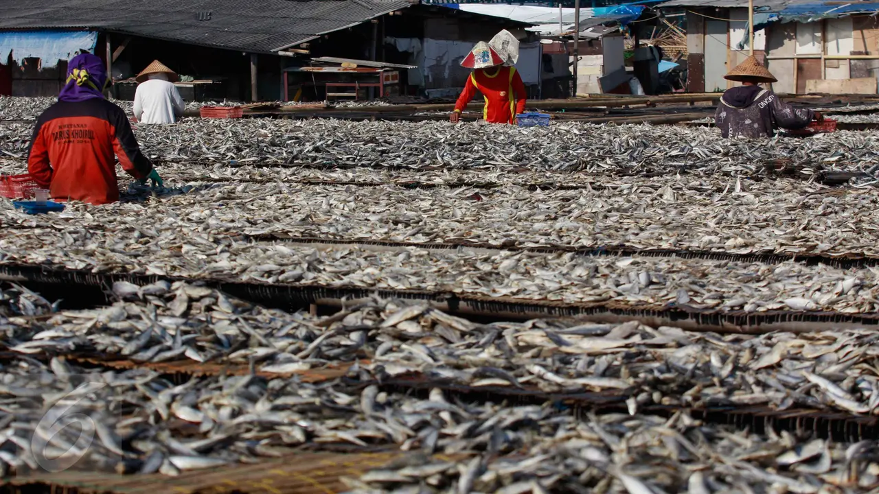 20160801-Cuaca Tak Menentu, Produksi Ikan Asin Terhambat