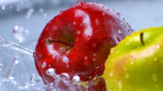 copyright by shutterstock.com