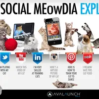 Kamu sering melakukan ini. Padahal seharusnya kamu enggak boleh melajukannya, lho!