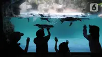 Siapa Pemilik Taman Safari Indonesia?