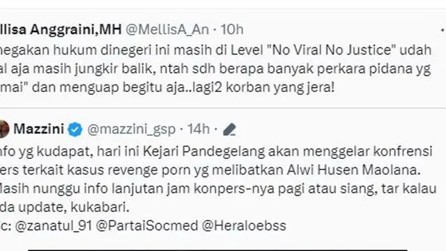 Pengacara David Ozora Tanggapi Proses Hukum Revenge Porn di Pandeglang: Tidak Viral Tak Ada Keadilan
