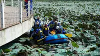 Dipimpin Ketua DPRD Garut Euis Ida Wartiah, beberapa wakil rakat di DPRD Garut tengah membersihkan tanaman eceng gondok di kawasan wisata air Situ Bagendit, Garut. (Liputan6.com/Jayadi Supriadin)