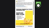 Cek Fakta: Tidak Benar Link Pendaftaran untuk Mendapatkan Bantuan Bibit Ayam