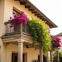 Tanaman Balkon (Created by AI)