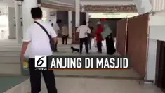 Kronologi Wanita Bawa Anjing Ke Dalam Masjid Bogor