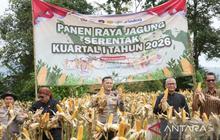 Sinergi Pemkab Bogor-Polri Tingkatkan Produksi Jagung Berkelanjutan untuk Ketahanan Pangan