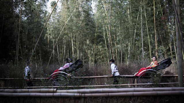 Hutan Bambu Sagano di Jepang